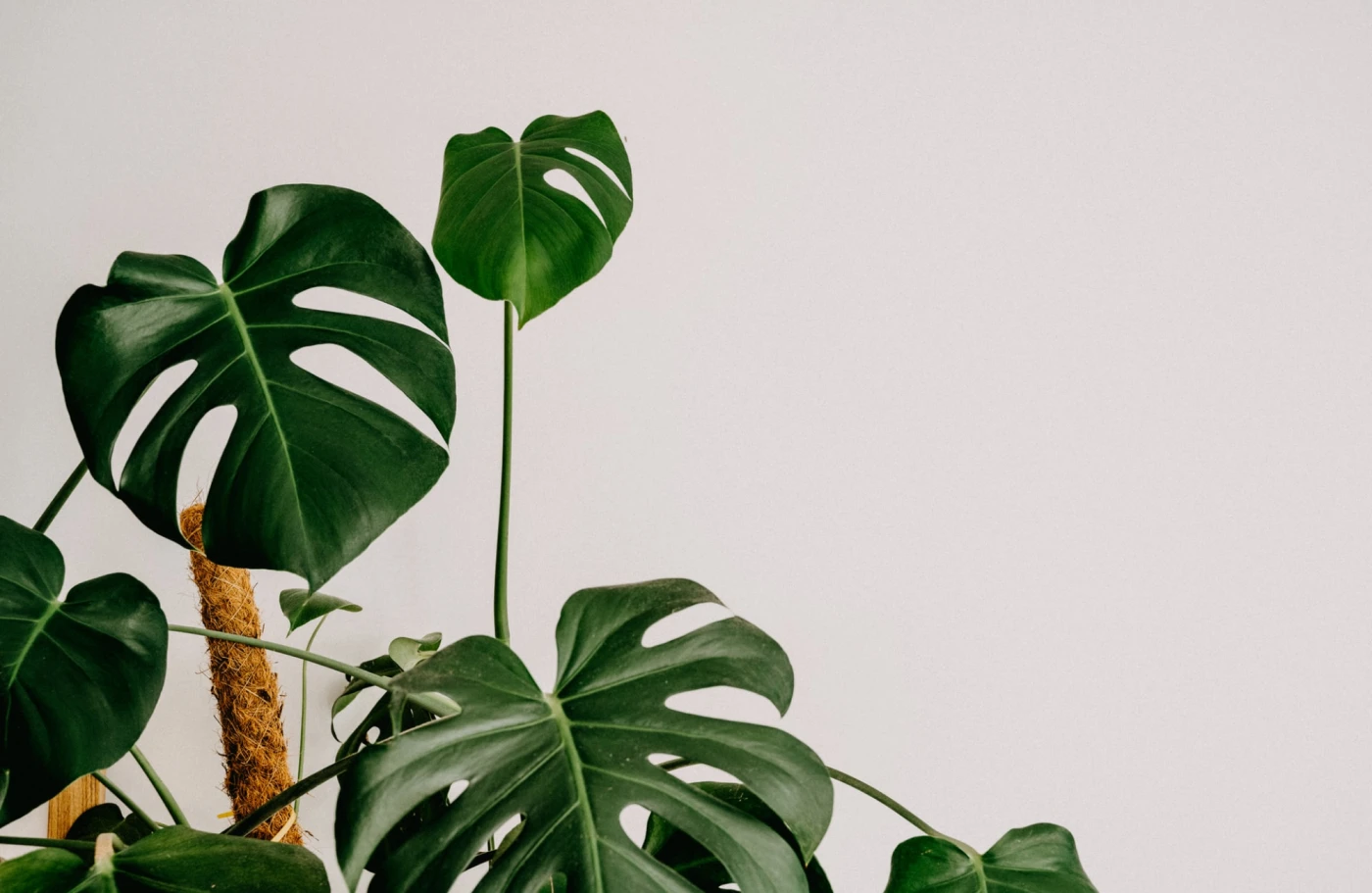 Outfit Ideas Built Around Real-Life Moments (Not Trends)